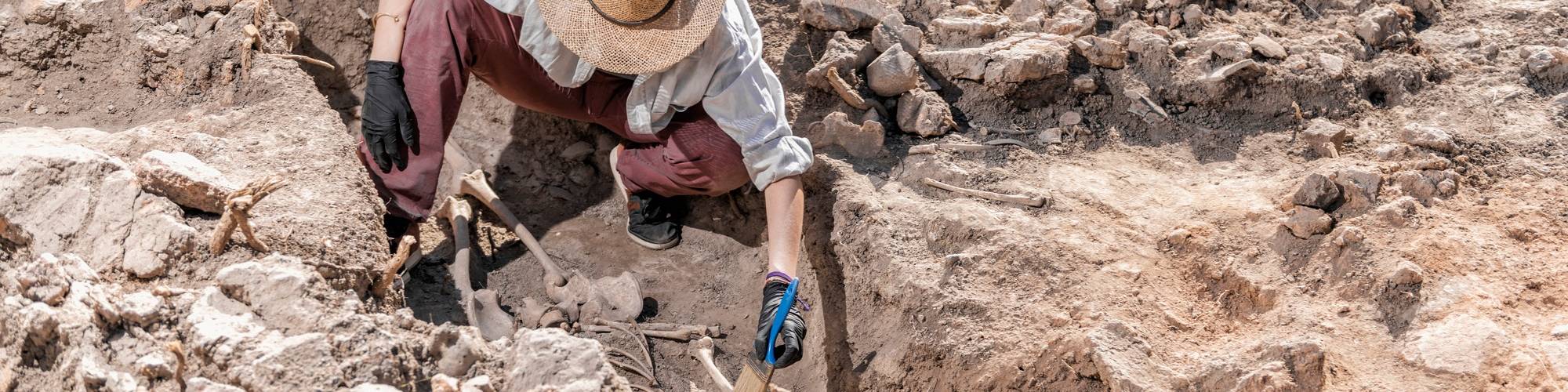 Arqueologia i Prehistòria “Julián San Valero Aparisi”