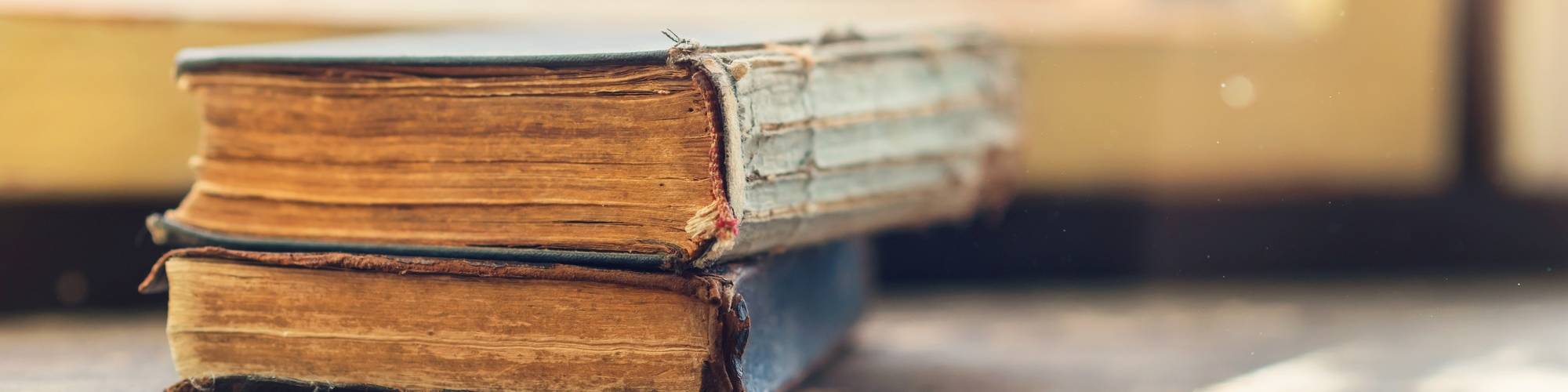 Literatura valenciana en lengua castellana “Blasco Ibáñez”