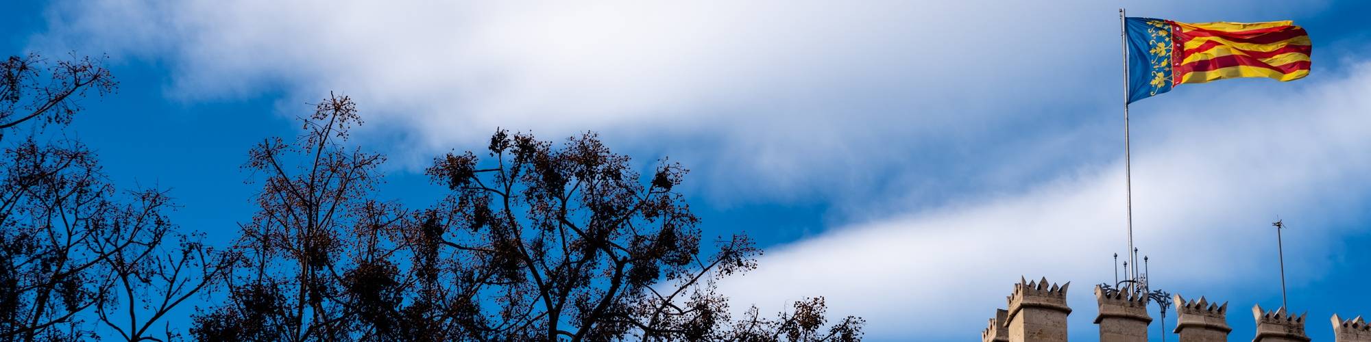 Història “Julián Ribera i Tarragó”